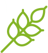grocery-home-bottom-icon4